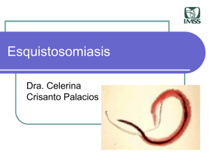05.Esquistosomiasis
