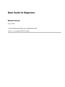 2.Bash Guide for Beginners