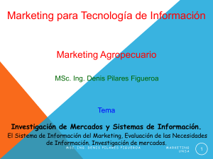 Marketing sistemas de información