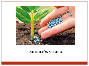 nutricion vegetal