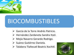 Biocombustibles 32576