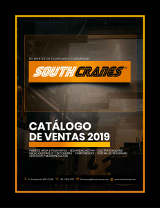 cat-puente-gruas-southcranes-2019