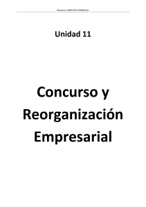 COMERCIAL 2- CONCURSAL
