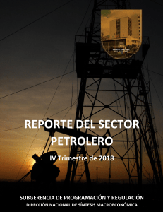 Repoirte del sector petrolero BCE IV trimestre ASP201812