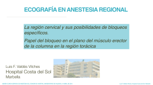 VALDES-Ecografia region cervical en anestesia regional Sesion SARTD CHGUV-16-04-18