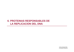 6.-Proteinas-Responsables-de-la-Replicacion-del-DNA