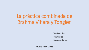 La práctica combinada de brahma visara y Tonglen