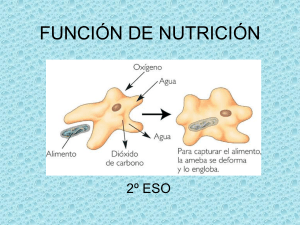FUNCIÓN DE NUTRICIÓN