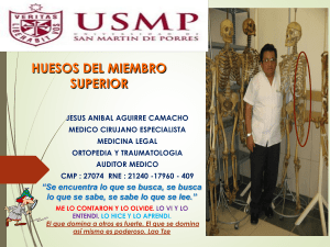 CLASE 0.2 OSTEOLOGIA DE MIEMBRO SUPERIOR