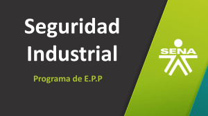 Programa de Seguridad Industrial E.P.P  Grupo 6