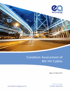 Cable-Condition-Assessment-and-Health-Index-V3
