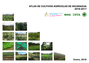 Atlas cultivos agricolas 2018