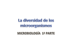 Microbio 2018-19