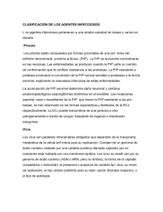 CLASIFICACIÓN DE LOS AGENTES INFECCIOSOS (2)