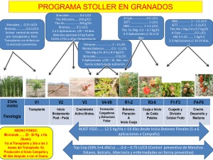 PROGRAMA STOLLER EN EL CULTIVO DE GRANADO - PERÚ.