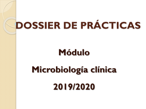 Instrucciones dossier prácticas Microbiología