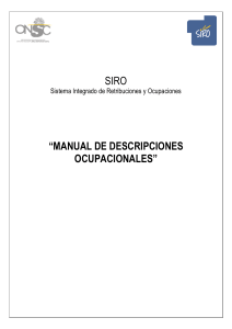 SIRO Manual (mayo2009)