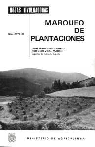 MARQUEO DE PLANTACIONES