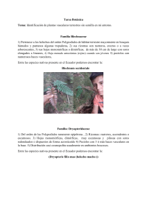 tarea 1 botanica (1)