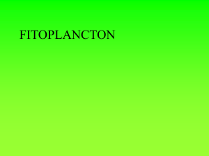 210697383-Fitoplancton