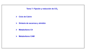 Tema 7. Fijación y reducción de dióxido de carbono