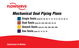 FLOWSERVE-Piping-Plan