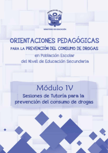 SESION DE TUTORIA PRIMERO DROGAS