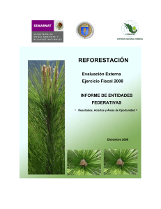 2008 reforestacion informes estatales (2)
