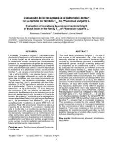 Evaluación de la resistencia a la bacteriosis común de la caraota en familias F2:4 de Phaseolus vulgaris L. 