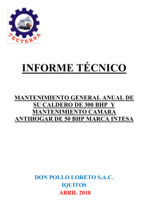 Informe técnico Mantenimiento anual CALDERO INTESA 300 BHP