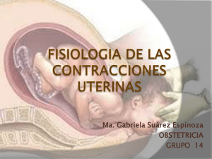 fisiologiadelascontraccionesuterinas-110215171630-phpapp02