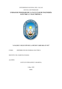 Informe Seleccion Tarifaria