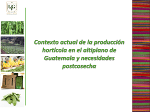 Situación actual de la producción hortícola en el altiplano de Guatemala