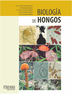  Biologia De Hongos (Cepero de García et al.) 