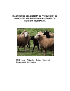 DIAGNOSTICO DEL SISTEMA DE PRODUCCION DE OVINOSS