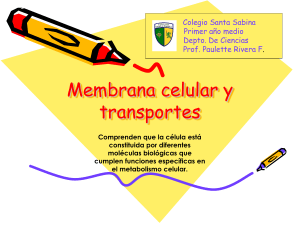 Membrana celular y transportes