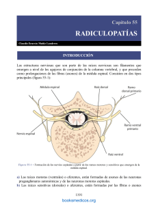 Neurologia Clinica de Rangel Guerra booksmedicos.org-1191
