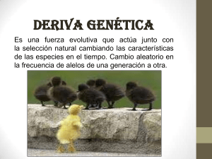 introducción a la deriva genètica