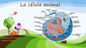La célula animal