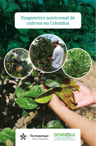 Diagnóstico Nutricional de Cultivos de Colombia
