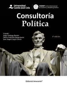 Consultoria Politica