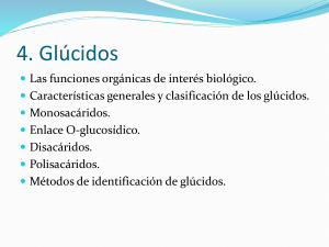 4 glucidos