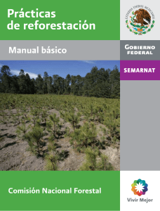 MANUAL PRACTICAS DE REFORESTACION