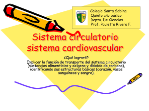 Sistema circulatorio, 2015 5to