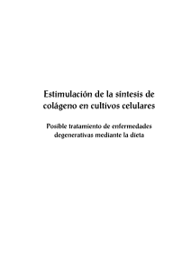 Dialnet-EstimulacionDeLaSintesisDeColagenoEnCultivosCelula-47720