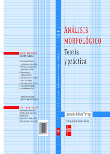 Analisis morfologico. Teoria y practica