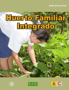 Huerto familiar integrado - FAO