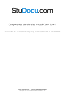 componentes-atencionales-introzzi-canet-juric-1