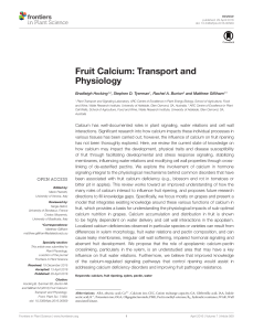 Fruit Calcium - Transport and physiology