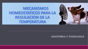 mecanismos homesostaticos para regular la temperatura